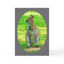 Kangaroos with oaks leaves greeting card cards