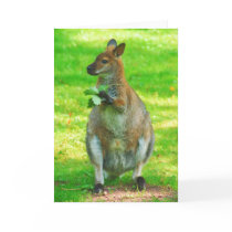 Kangaroos with oaks leaves greeting card cards