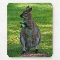 Kangaroos With Oaks Leaves Mousepad