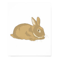 kanin rabbit posters