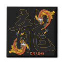 Kanji Koi Fish Dragon magnets