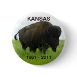 Kansas 1861 - 2011 pins