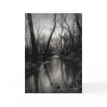 Kansas Country Scenes "The Creek" cards