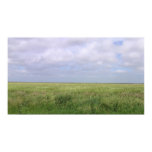 Kansas Fields posters