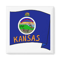 Kansas Flag magnets