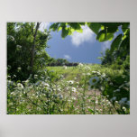 Kansas Meadows and Wildflowers posters
