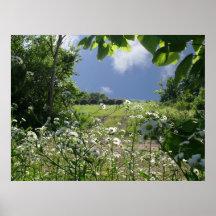 Kansas Meadows and Wildflowers Print