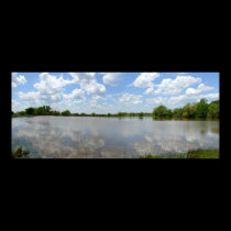 Kansas Pond posters
