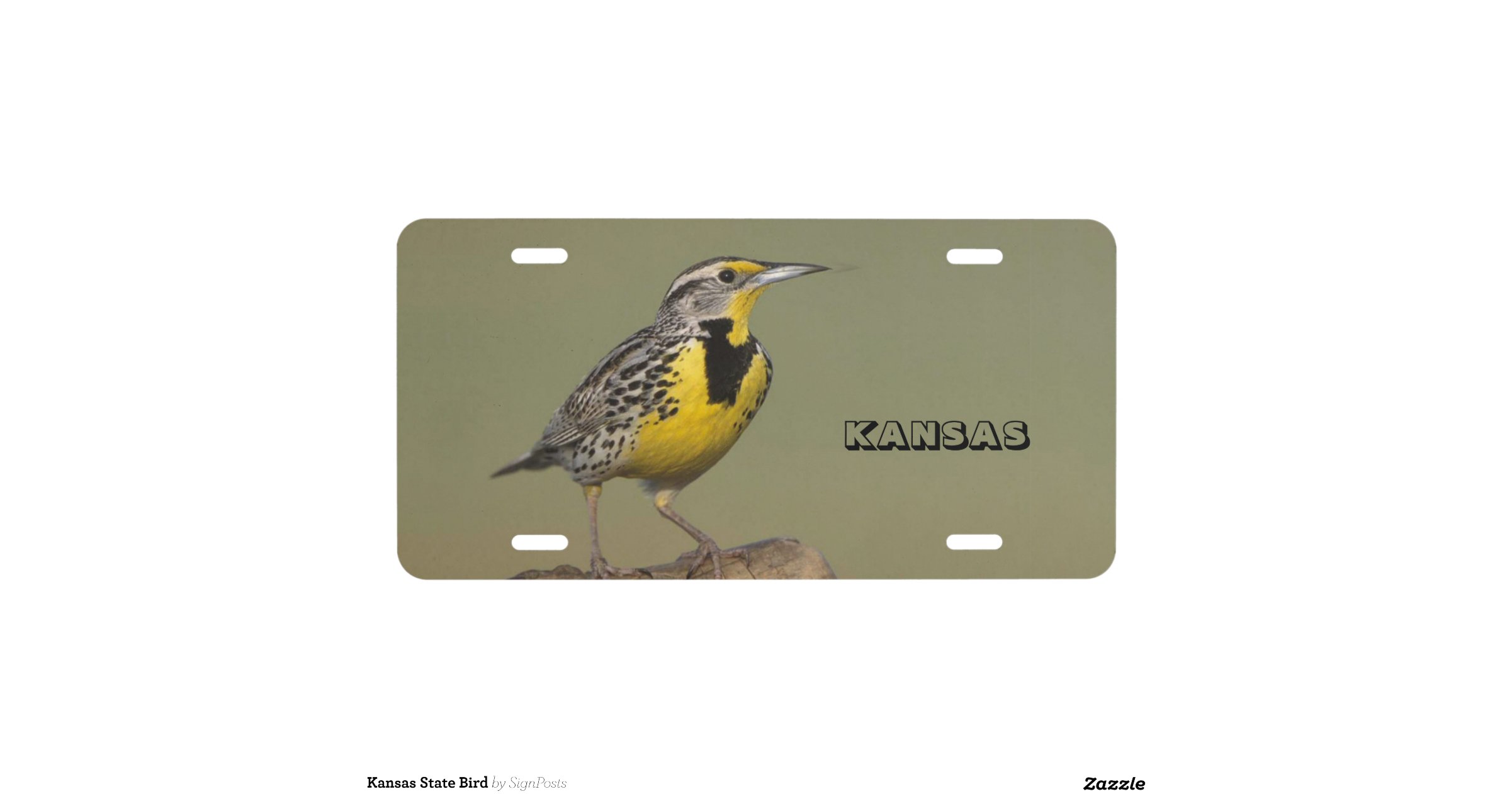 Kansas State Bird License Plate Zazzle