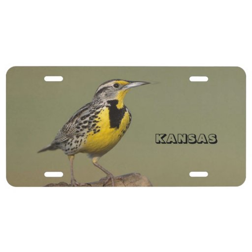 Kansas State Bird License Plate Zazzle