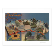 Kansas (State Capital/Flower) Postcard