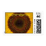 Kansas Sunflower Postage Stamp stamps