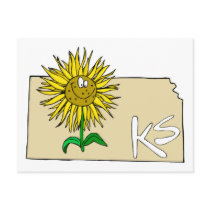 Kansas Sunflower postcards by GeographyTees Kansas Sunflower postcards
