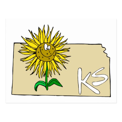 Kansas Sunflower Postcard Zazzle