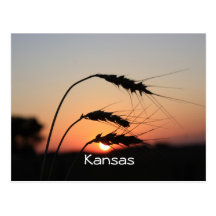 Kansas Sunset Postcard