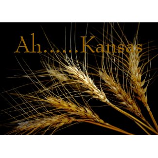 Kansas Wheat card