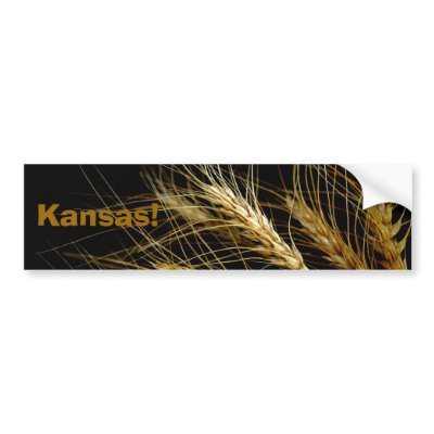 wheat in kansas