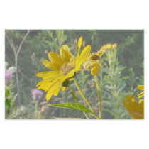 Kansas Wildflower stationery