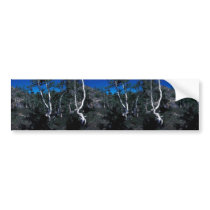 Kanuti Refuge stunted birch on a dry site Bumper Stickers