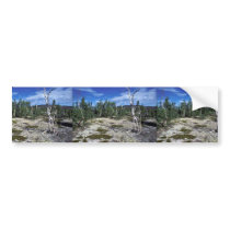 Kanuti Refuge stunted birch on a dry site Bumper Sticker