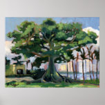 Kapok Tree poster