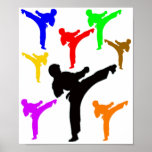 Karate Boys posters