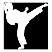 Karate Girl posters