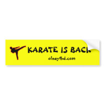 Karate is Back bumper stickers