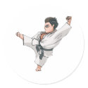 Karate-Kick stickers