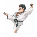 Karate-Kick t-shirts