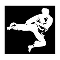 Karate Kicker posters