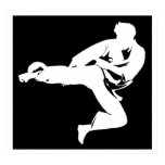 Karate Kicker posters