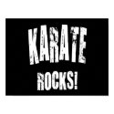 Karate posters by republicofsport Karate posters