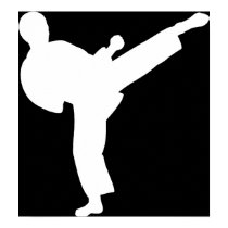 Karate posters