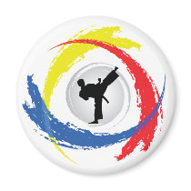 Karate Tricolor Emblem Refrigerator Magnets
