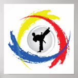 Karate Tricolor Emblem Posters
