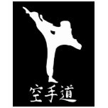 Karate Shirt