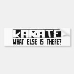 Karate What Else Is There? Bumper Sticker