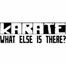 Karate What Else Is There? photo sculptures