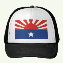 Click here to buy