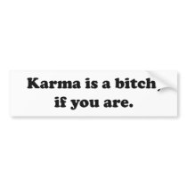 Karma is only a bitch bumper sticker