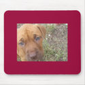 Karnella Pad mousepads by peeweedread Karnella Pad mousepads