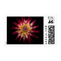 Karras flower postage postage