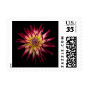 Karras flower postage, postcard postage