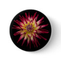 karras on black buttons