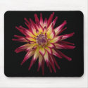 karras on black mousepads