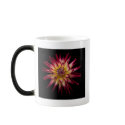 karras on black mugs