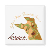 Karuna Bully Magnet
