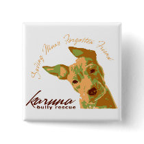 karuna bully rescue button
