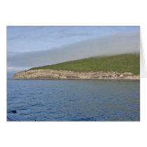Kasatochi Island bluffs, Andreanof Islands Card